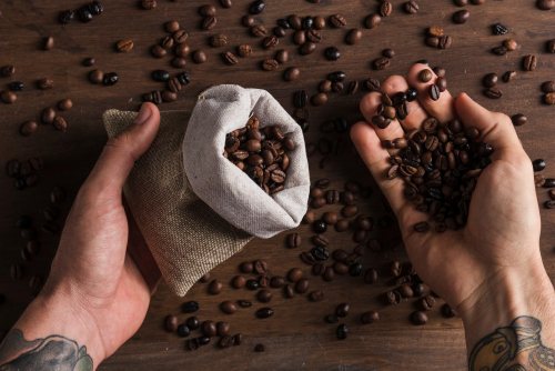 Шлях кави Alvaro Caffé